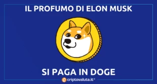 PROFUMO MUSK DOGE