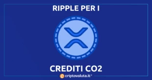 RIPPLE CO2