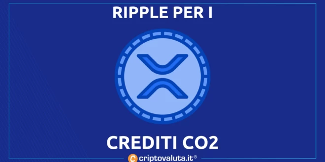 RIPPLE CO2