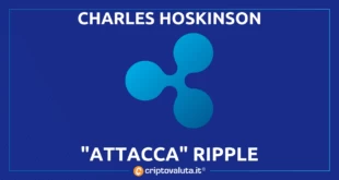 HOSKINSON CONTRO CARDANO