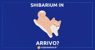 SHIBARIUM