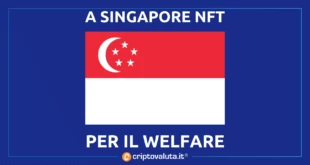 SINGAPORE NFT WELFARE