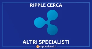 SPECIALISTI RIPPLE