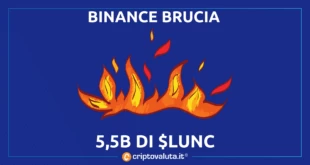 Terra Luna BInance Burn