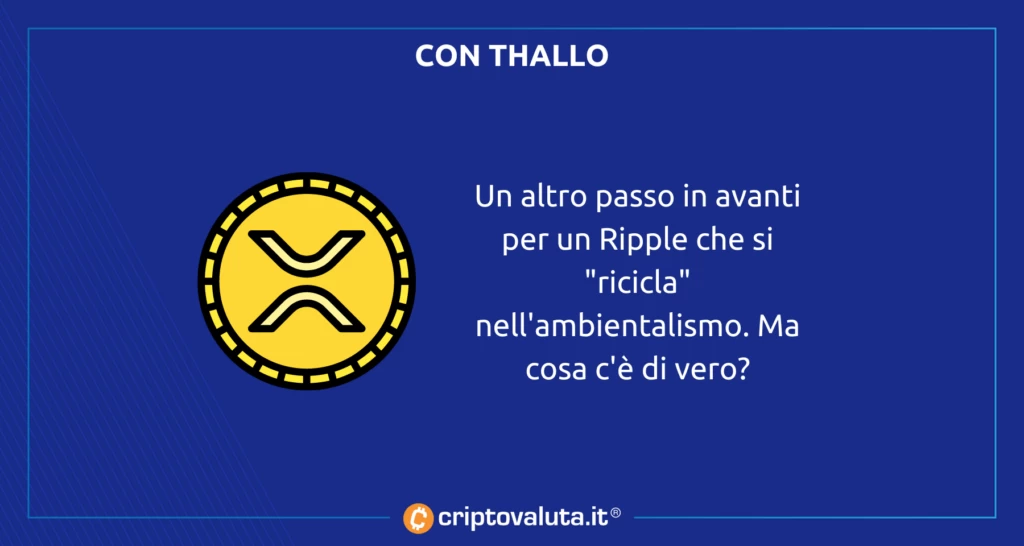 Ripple Thallo