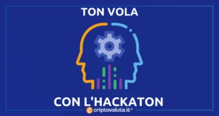 TON VOLA CON L'HACKATON