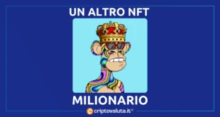 NFT MILIONARIO BAYC