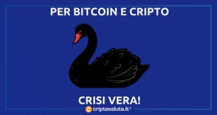 BITCOIN CRISI ETHEREUM TALEB