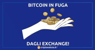 BITCOIN FUGA EXCHANGE