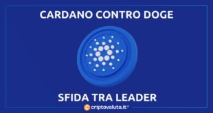 CARDANO DOGE