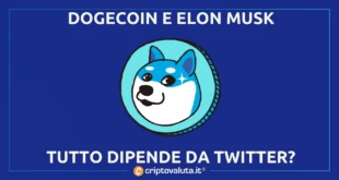 DOGECOIN TWITTER MUSK