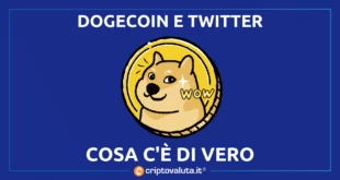 ELON MUSK DOGECOIN