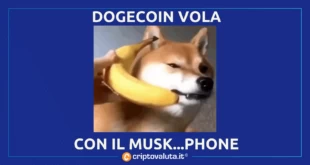 ELON MUSK PHONE DOGECOIN