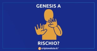 GENESIS RISK BITCOIN