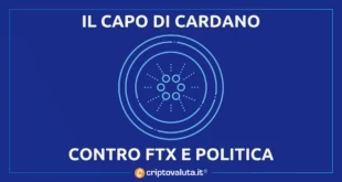 Capo Cardano FTX