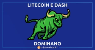 LITECOIN DASH