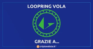 LOOPRING CAVALCA