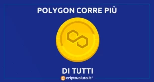 POLYGON CORRE