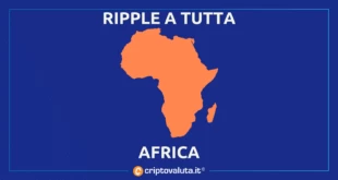 RIPPLE AFRICA MSF