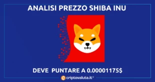 SHIBA