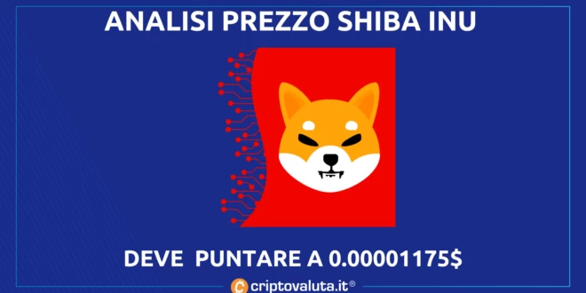 SHIBA