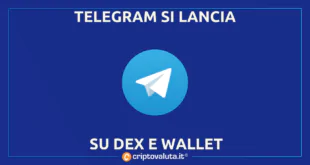 TON VOLA TELEGRAM