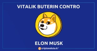 VITALIK BUTERIN MUSK