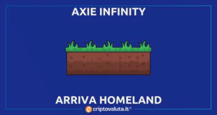 AXS AXIE INFINITY