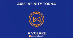 AXIE INFINITY VOLA