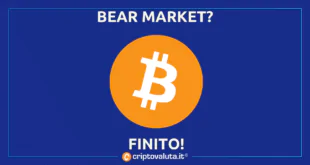 BEAR MARKET CRIPTO