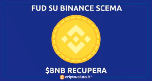 RISCHI BINANCE BNB