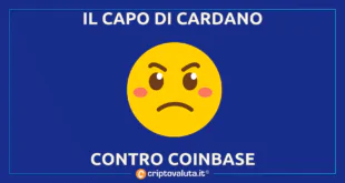 CARDANO NO LOVE