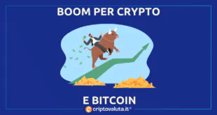 CRYPTO BITCOIN PUMP