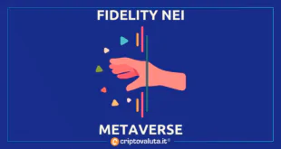 FIDELITY METAVERSE