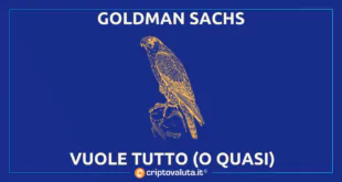 GOLDMAN SACHS RAPACE