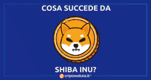 NOVITA SHIB