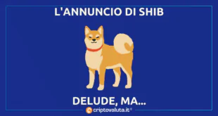 ANNUNCIO SHIB DELUDE