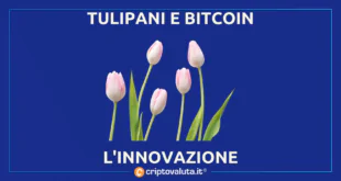 BITCOIN E TULIPANI