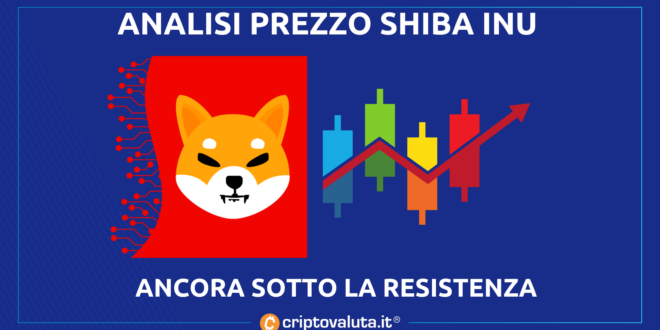 Shiba