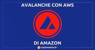 Avalanche AWS