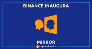 Binance Mirror istituzionali