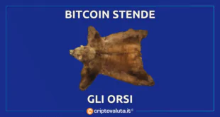 Bitcoin boom orsi