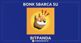 BONK BITPANDA