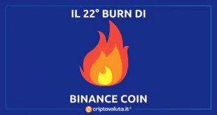 BURN ONLINE BINANCE