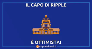 Capo Ripple ottimista