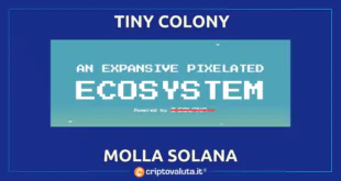 SOLANA TINY