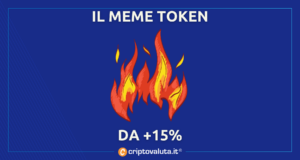 MEME TOKEN 15