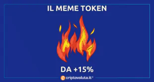 MEME TOKEN 15