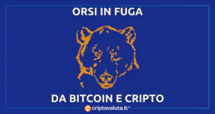 ORSI IN FUGA BITCOIN CRIPTO