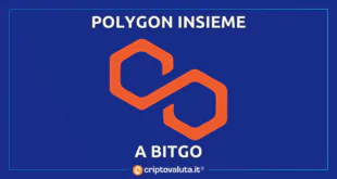 POLYGON MATIC ANALISI